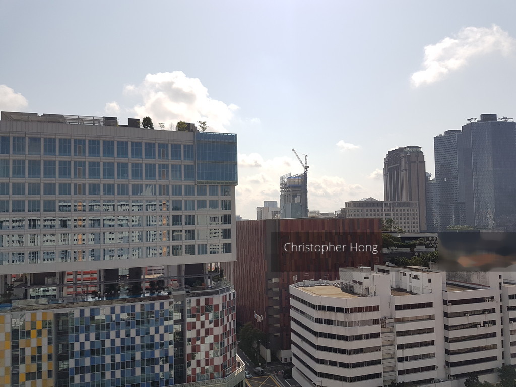 Blk 264 Waterloo Street (Central Area), HDB 3 Rooms #151275692